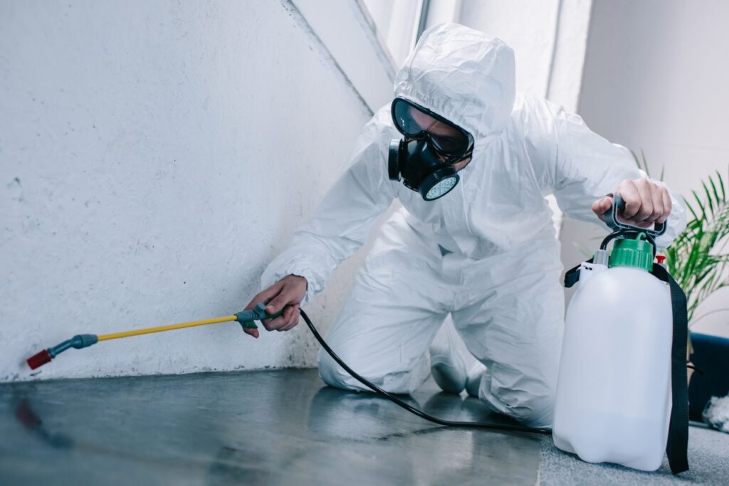 Pest control spraying floor