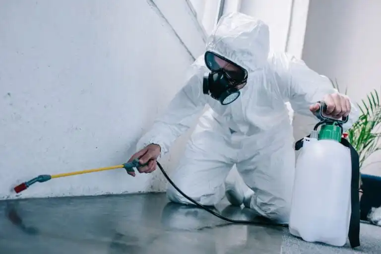 Pest control spraying floor