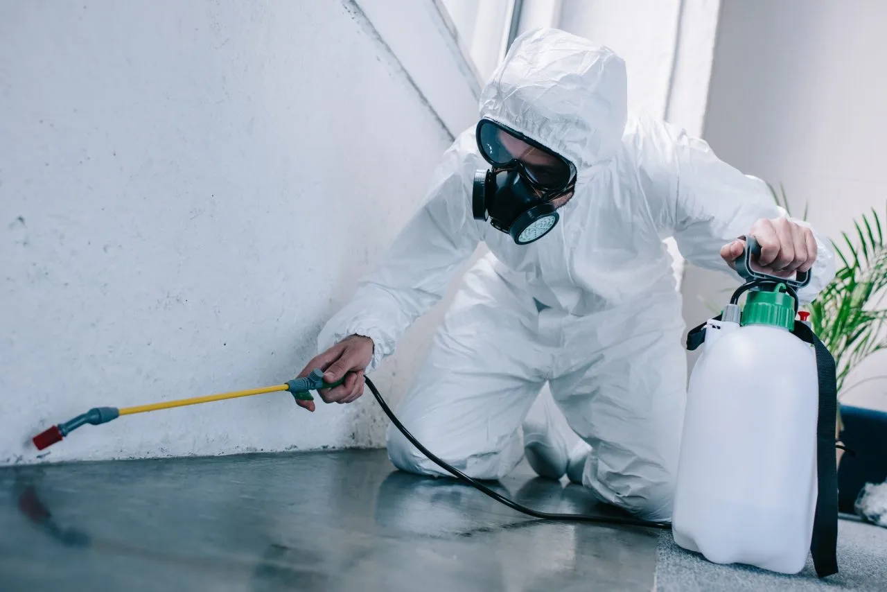 Pest control spraying floor