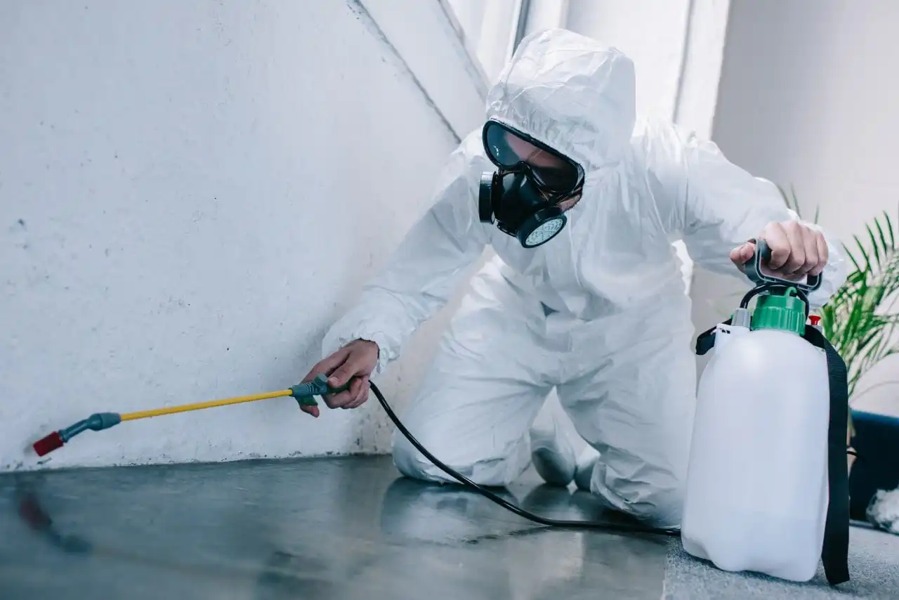 Pest control spraying floor