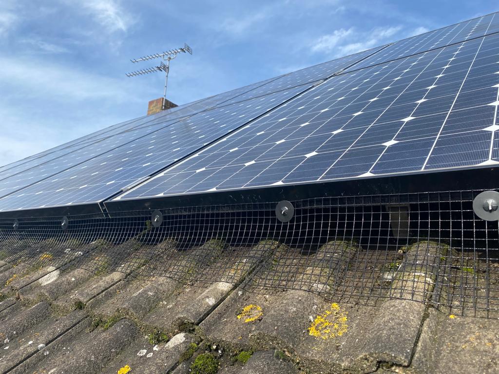 Solar Panel Bird Proofing Services​