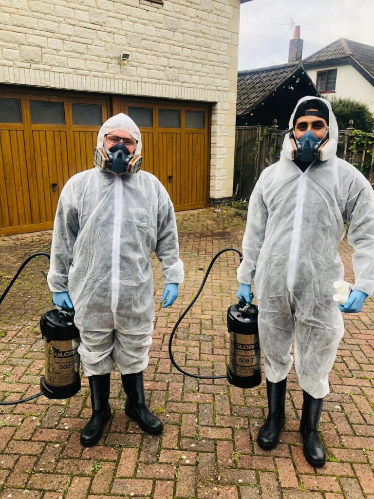 Insect Extermination Process