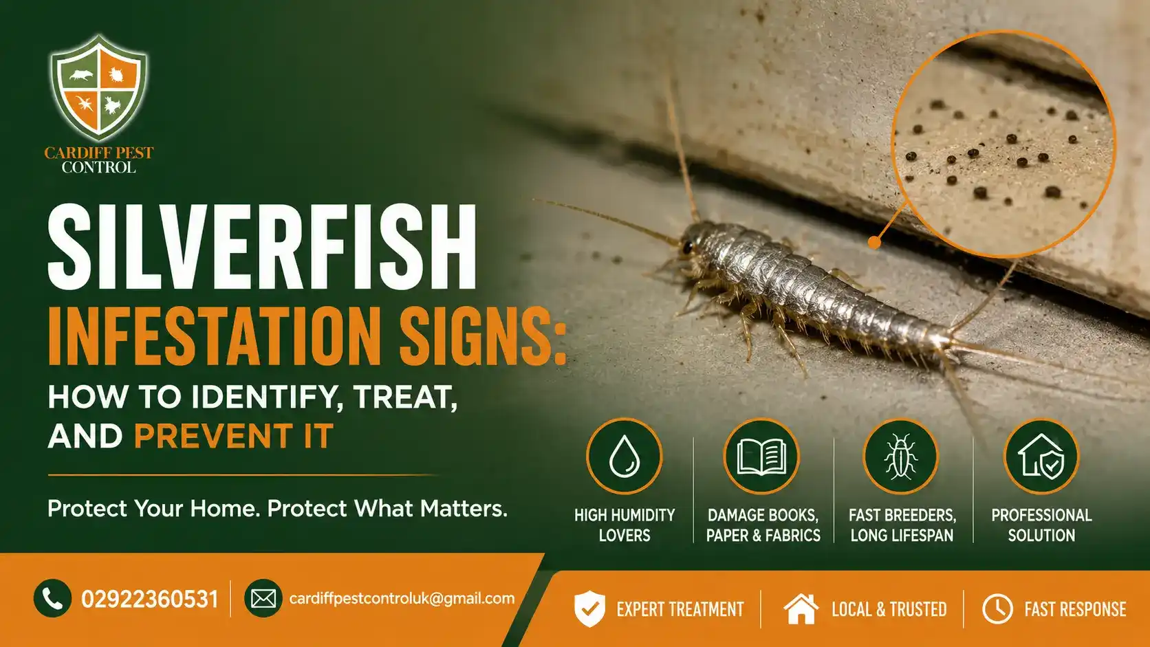 Silverfish Infestation Signs