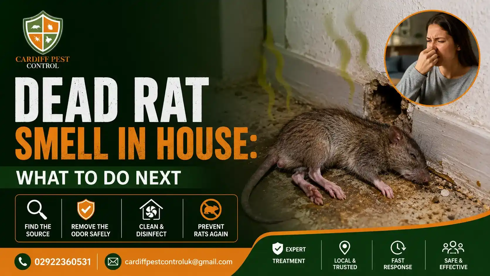 Dead Rat Smell in House
