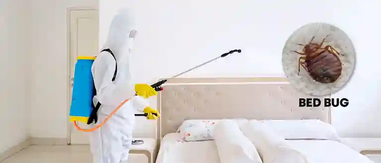 Bed Bug Extermination Cardiff
