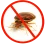 bed bug control vaughan
