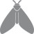 moth icon