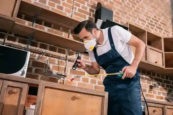 pest-control-worker-spraying-pesticides-in-kitchen-and-using-flashlight